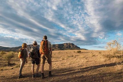 flinders ranges hikes walkers and Wilpena Pound wall