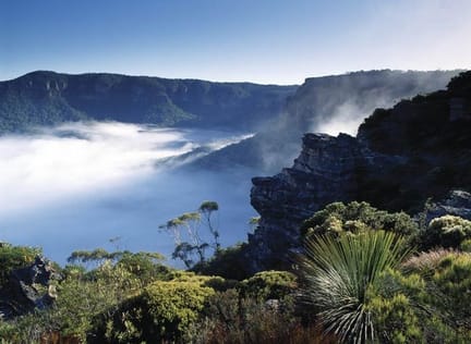 Blue Mountains walking