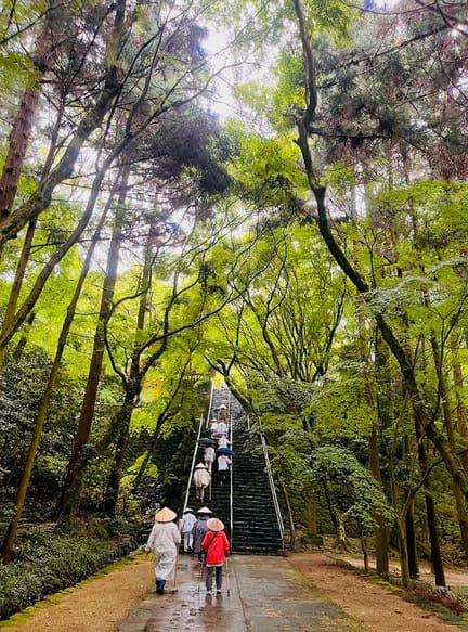 D5 Shikoku WALK T80-T81-T82 - shrine