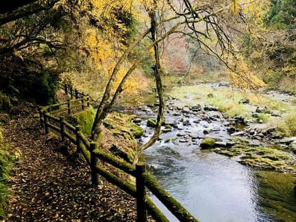 Fence and  river on Shikoku walk