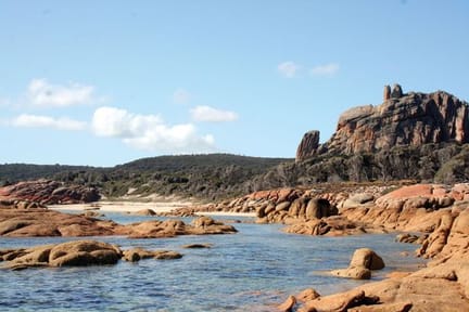 Flinders Island - rocky-coast.jpg