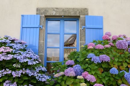 Flowers Brittany France