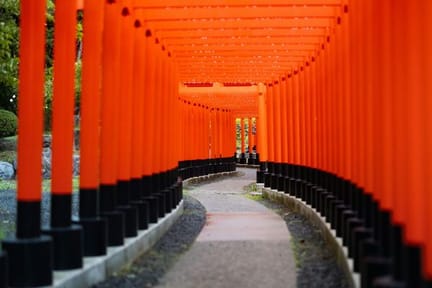 Fushimi Inari Kyoto
