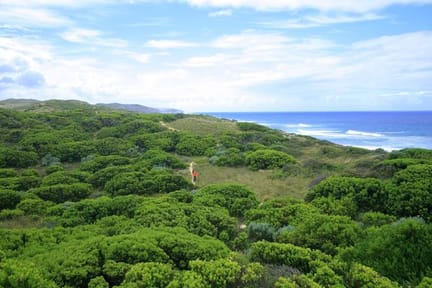 GOW-Coastal-Bushland-Trail