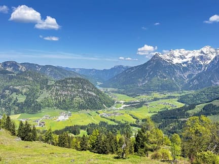 Grassy alpine meadows and scattered evergreen and deciduous trees in Tyrol, Austria- supplied by Eurohike