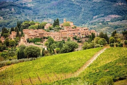 Grieve in chianti-vineyards.jpg
