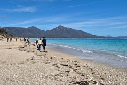 Hazards Beach within Freycinet National Park.jpg