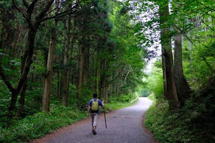 Hiker-on-a-Secluded-Forest-Road-to-the-Nakasendo