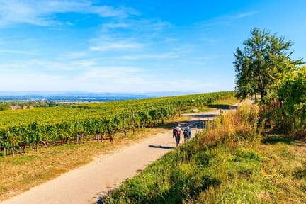 Hiking near Riquewihr village, Alsace Wine Route, France