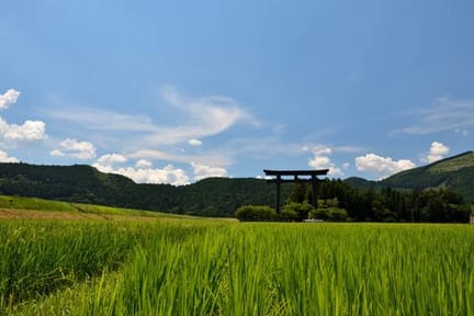 Hongu area gate in summer