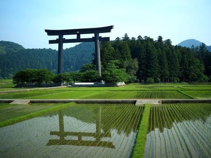 Kumano Hongu Taisha Otorii Gate Amidst Lush Fields