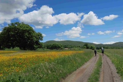 Landscape francigena Via Francigena