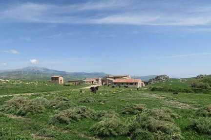 MAGNA_VIA_FRANCIGENA Way