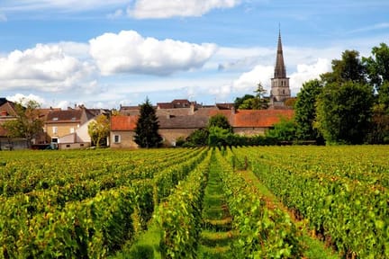 Meursault burgundy region
