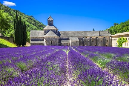 Monastry and lavender field Provence