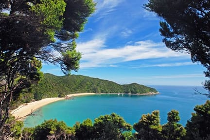 Panoramic-Bay-framed-by-Trees-Abel-Tasman