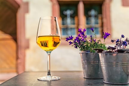 Riquewihr, France, a village on Alsatian Wine Route Alsace Shuuterstock