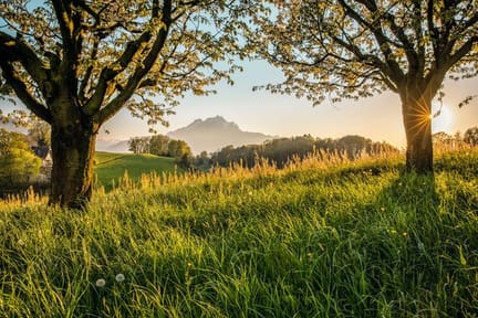 Sun bursting through trees onto Mount Pilatus-supplied by Eurotrek