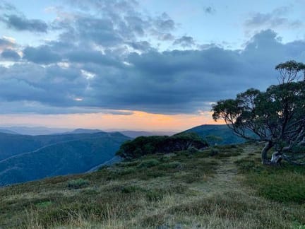 View Mount Hotham Great Alpine Walk