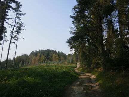 Gernika-Lezama-paisaje-7