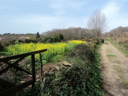 T19T via de la plata paisaje