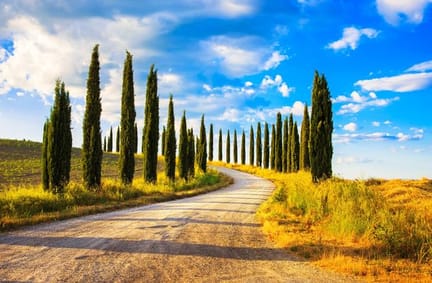 Typical Tuscan Road.jpg