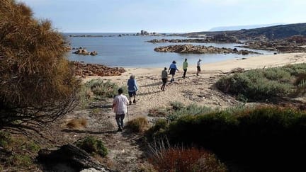 Walkers on Flinders Island beach