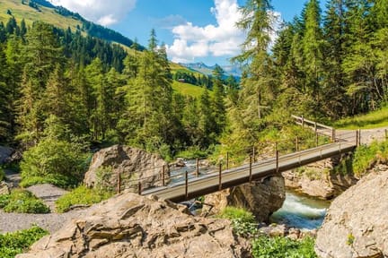 Wooden Bridge in Adelboden Switzerland.jpg