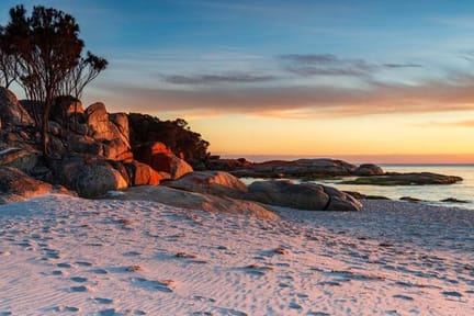 bay of fires guided walk