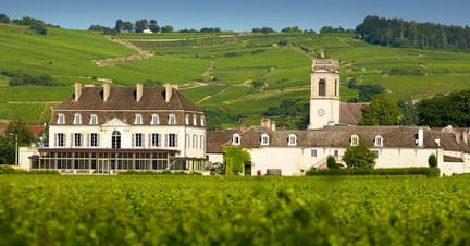 chateau-de-pommard - supplied by Walk Inn