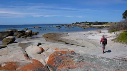 flinders island population