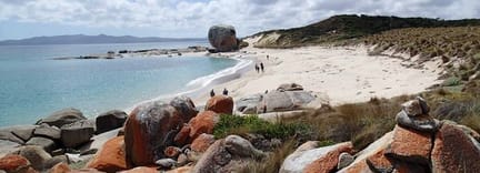 flinders island tours