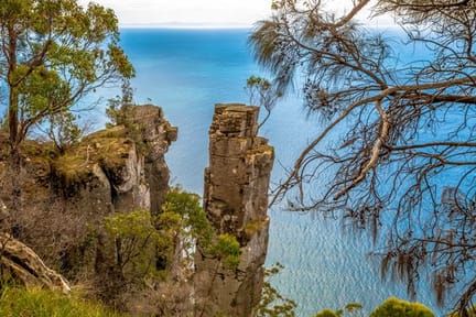 Cliffs,In,South,Bruny,National,Park:,The,Monument,,Tasmania,Australia.