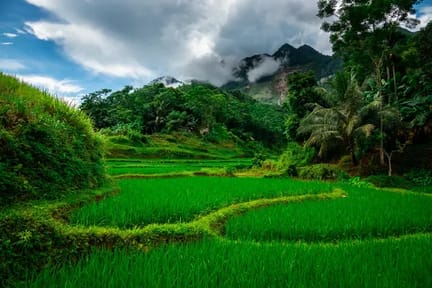 pu long (2)