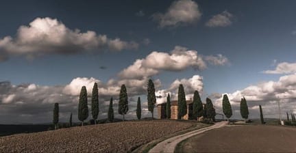 white tuscan wine