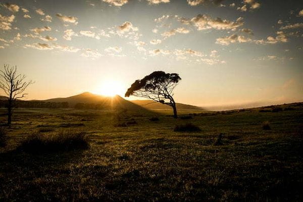 Flinders Island Sunrise 2