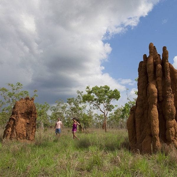 Australia's Timeless North-Top End  Litchfield