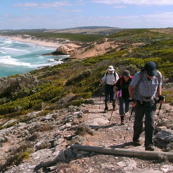 Great-South-West-Walk-Hikers