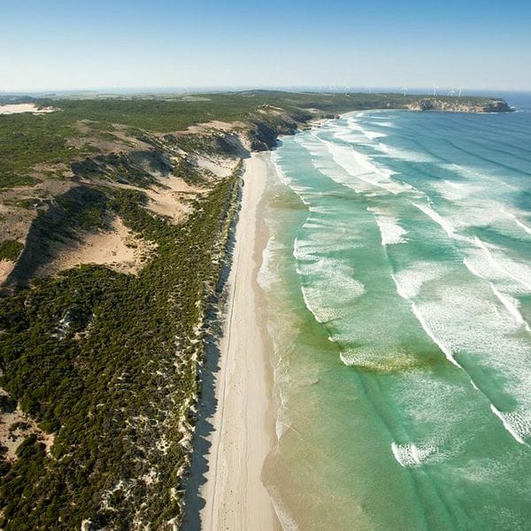 Great-South-West-Walk-Discovery Bay