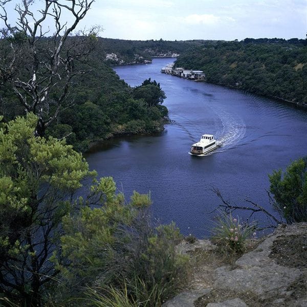 Great-South-West-Walk-Highlights- Glenelg River