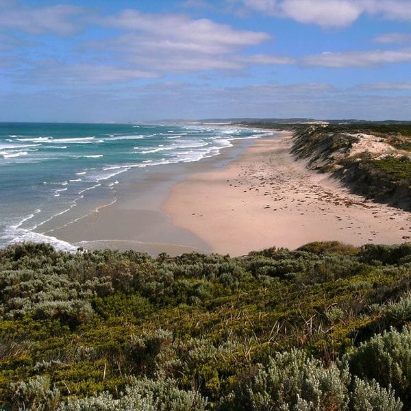 Great-South-West-Walk-Highlights-Beach