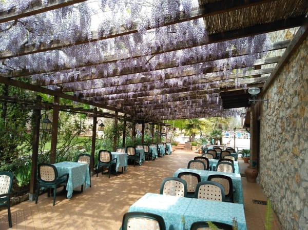 Hotel Il Pietreto Outdoor Dining