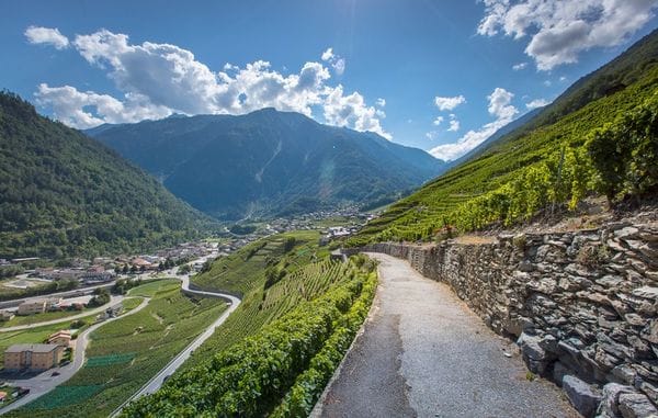 Oenotourisme Vignoble Valais