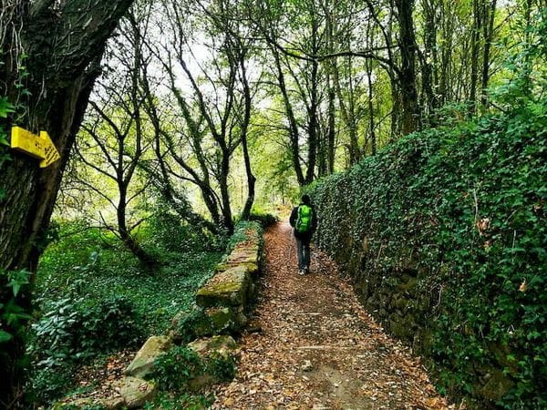 portuguese camino de santiago