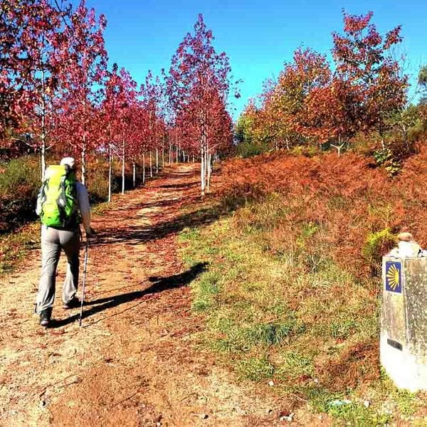 Portuguese Camino de Santiago the Camino-in-autumn