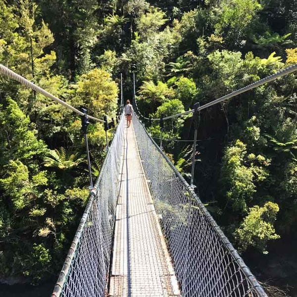 Suspension bridge on the Abel Tasman walk