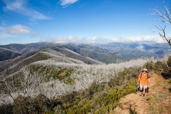 great alpine walk