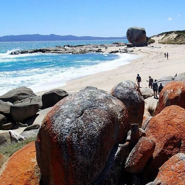 flinders island guided walks
