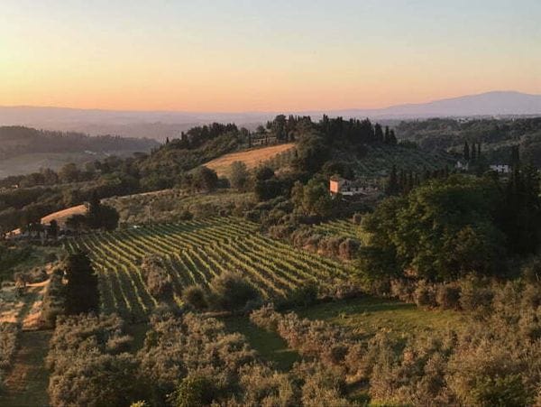 A view of the vineyards of san gimignano italy