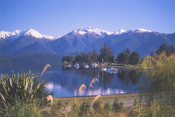 Distinction te anau 3